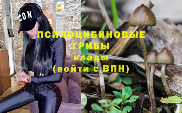 a pvp Арсеньев